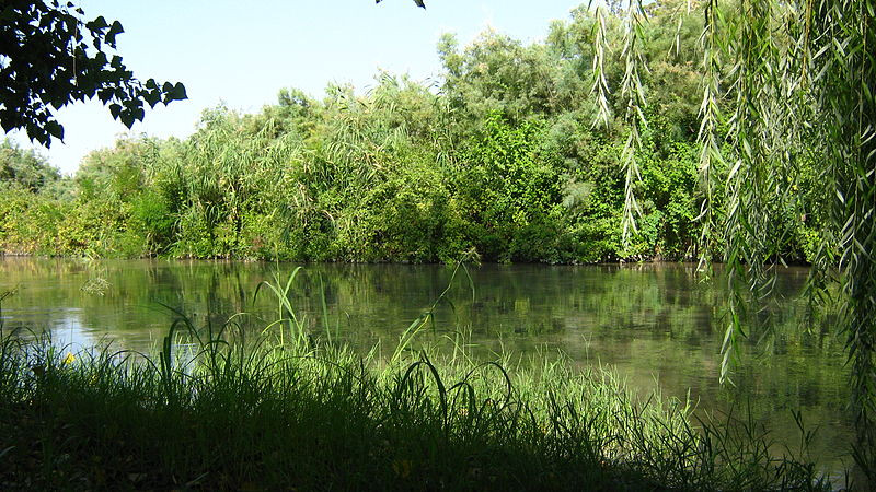 Водно-болотные угодья в Ширванский