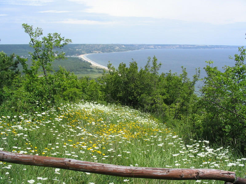 Парк Золотые Пески летом