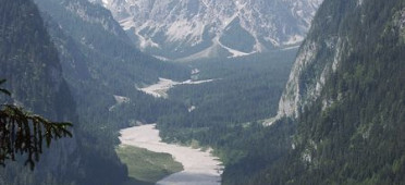 Вимбахгрис