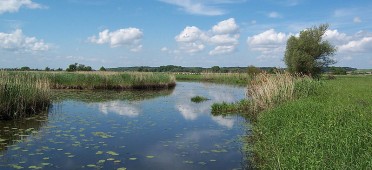 Ландшафты заливных лугов в национальном парке