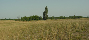Парк Кишкуншаг