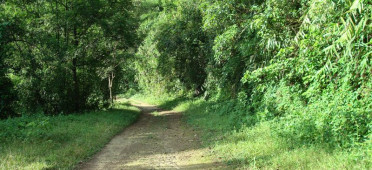 Парк Балпакрам