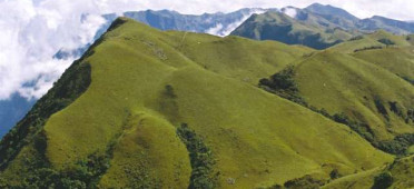 Парк Мукуртхи