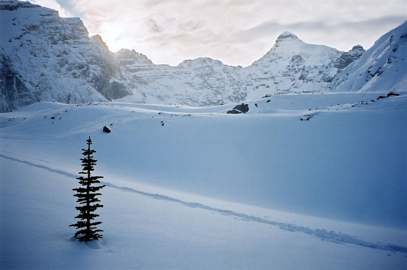 Горнолыжный склон Parker Ridge рядом с Columbia Icefield