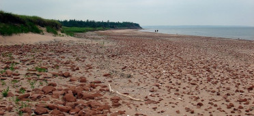 Песчанные пляжи парка