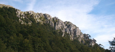 Парк Поллино