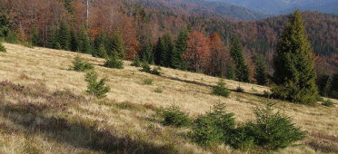Парк Горчанский