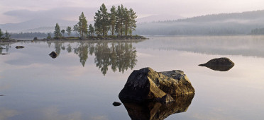 Парк Гутулиа