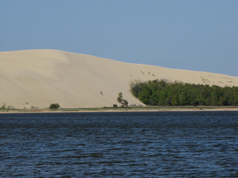 Белые дюны в парке Куршская коса