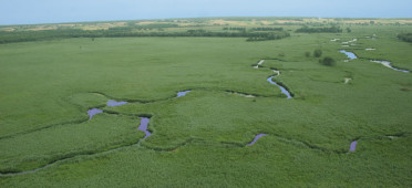 Парк Нарвянский
