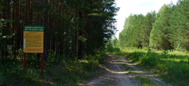 Парк Нечкинский