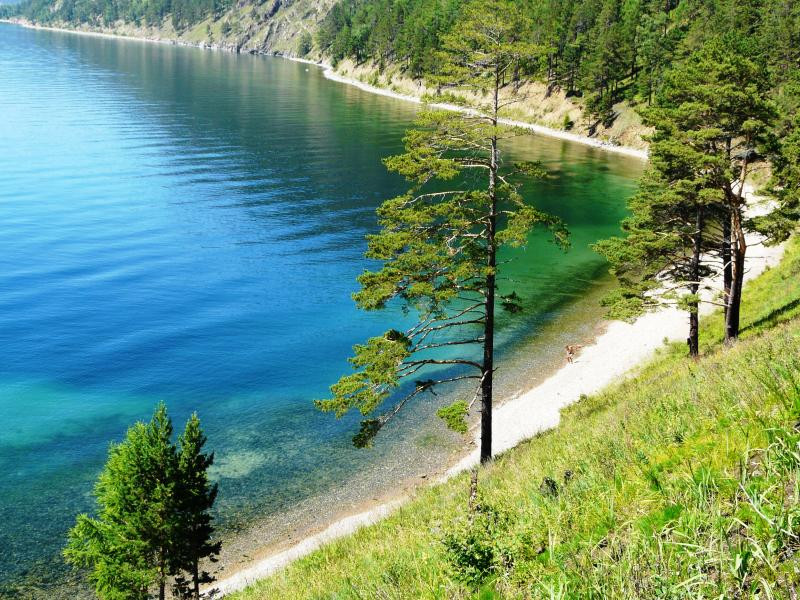 Прибайкальский парк летом