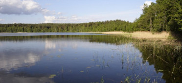 Парк Себежский