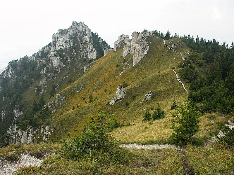 Гора Остра