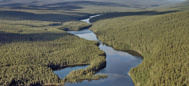 Парк Лемменйоки