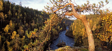Парк Оуланка