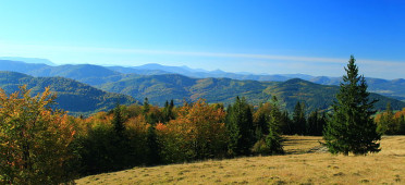 Парк Синегора