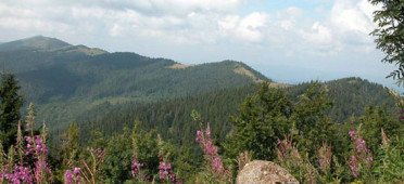 Парк Травяная долина