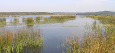 Парк Яворовский