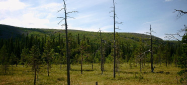 Парк Фулуфьелле