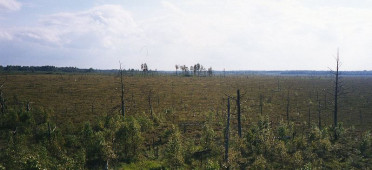 Парк Стуре-Моссе