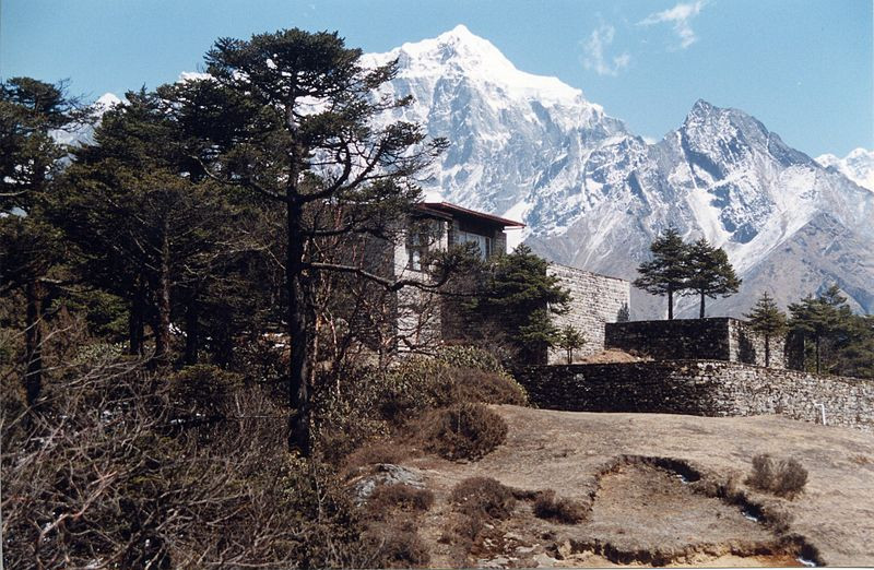 Роща Пихты замечательной возле Everest View Hotel в Сянгбоче