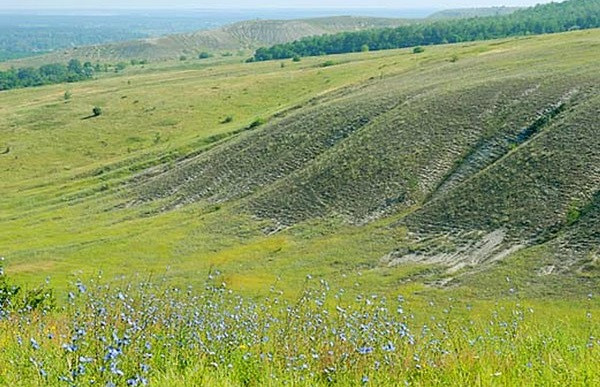 Задернованный меловой холм Донецкая область