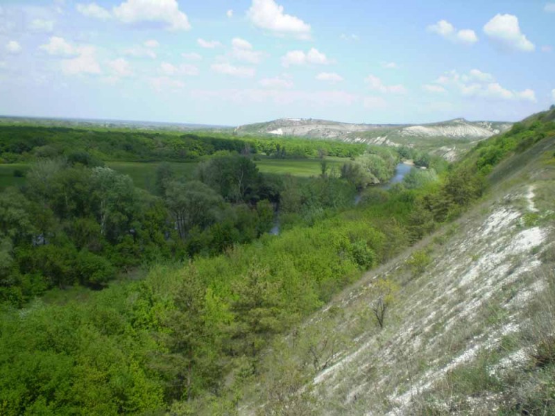 Комплексный заповедник Меловая Флора. Краснолиманский район 