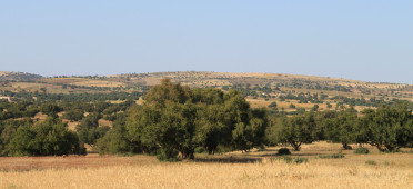 Заповедник Арганре