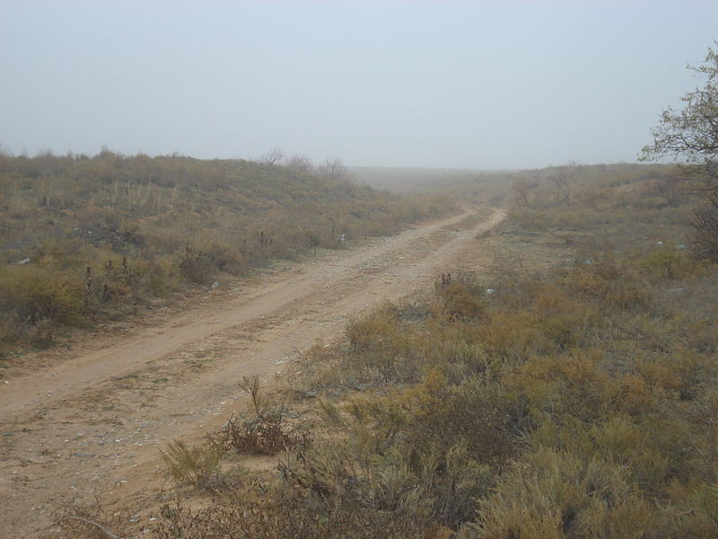 Калмыцкая степь