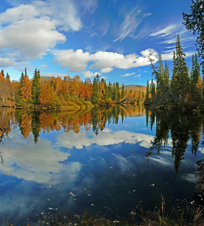 Река Чуна в Лапландском заповеднике