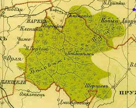Беловежская пуща на карте Гродненской губернии 1897 года