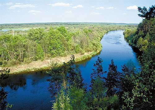 Березинский биосферный заповедник летом