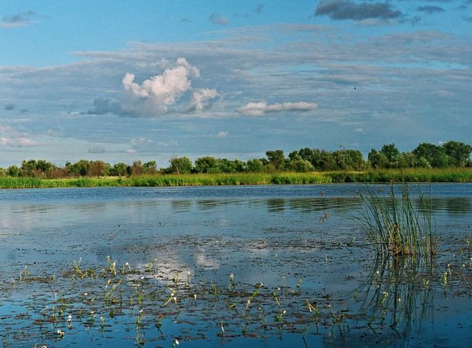 Хинганский заповедник в России