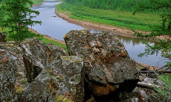 Река Крестях в заповеднике Олекминский