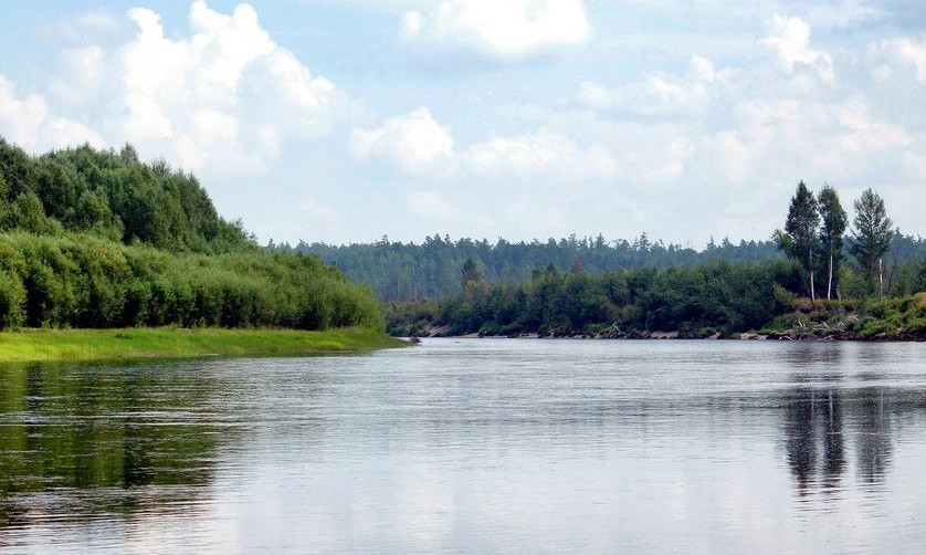 Заповедник Норский летом